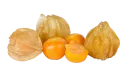 Alquejenje