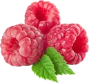 Frambuesa