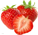 Fresa