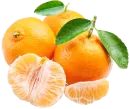 Mandarina