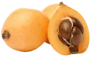Níspero
