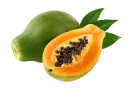 Papaya