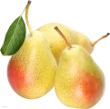 Pera