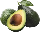 Aguacate