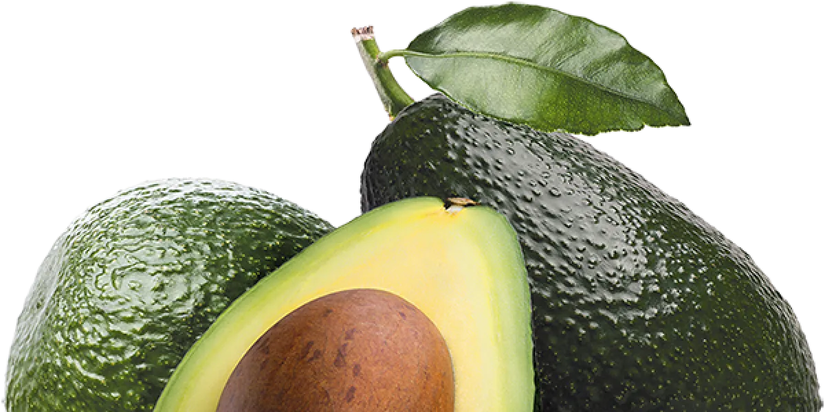 Aguacate :: Propietateak