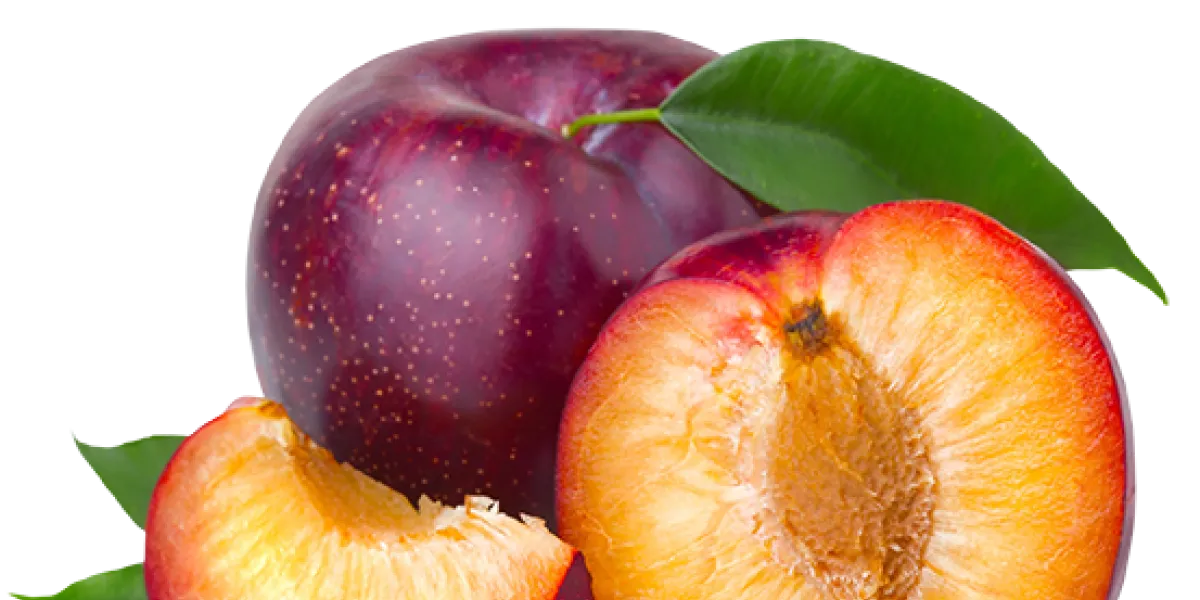 Ciruela :: Origen y variedades