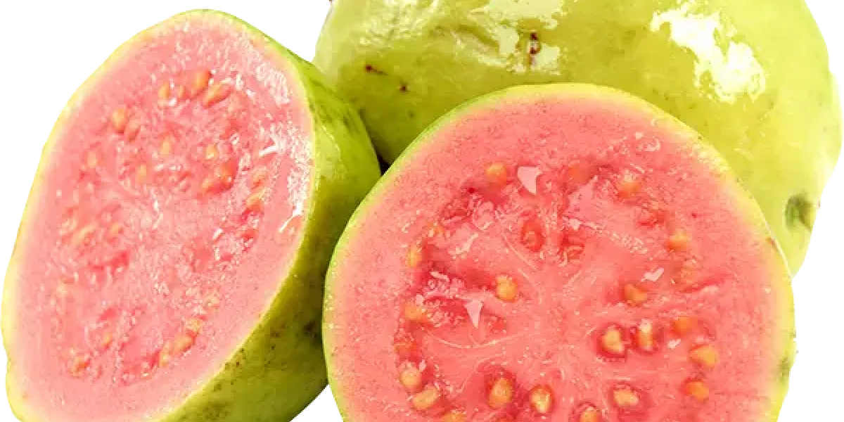 Guayaba :: Propiedades