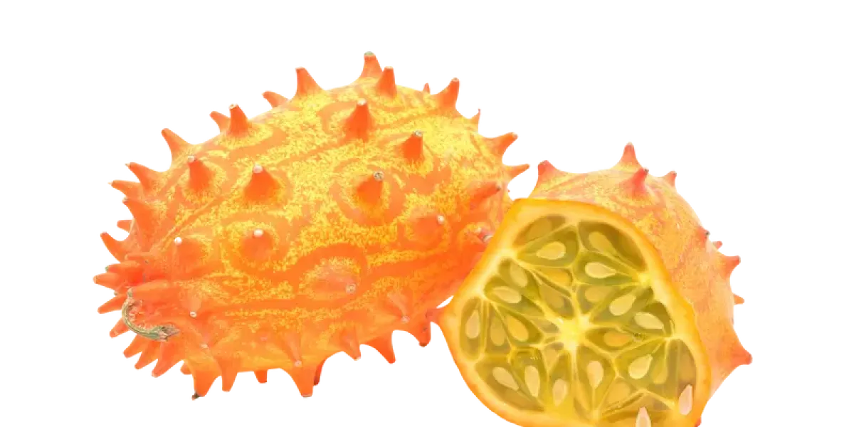 Kiwano :: Propietateak