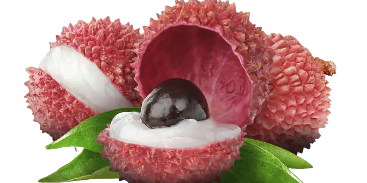 Litchi :: Propietateak