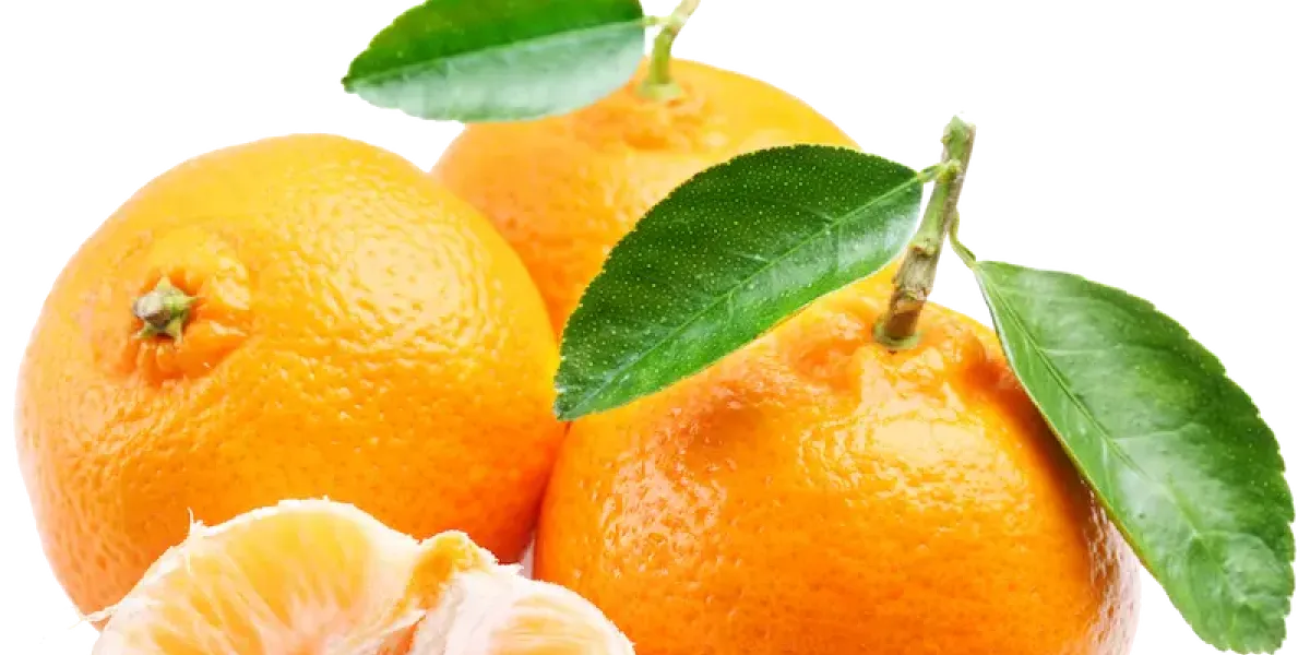 Mandarina :: Propietateak