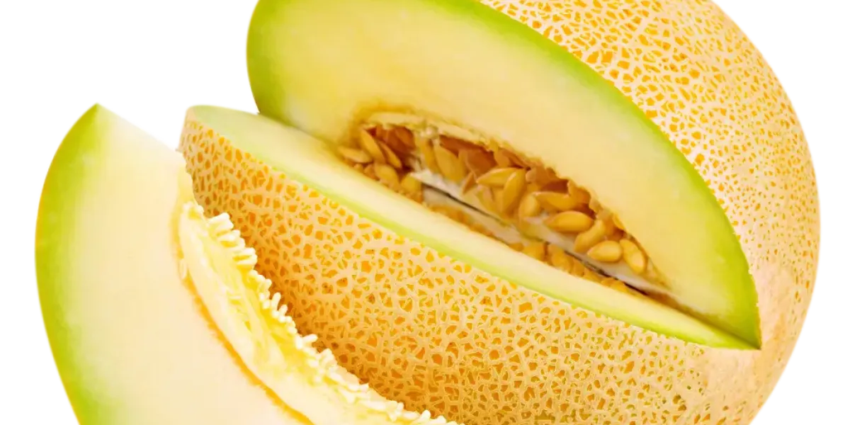 Melón :: Propietateak