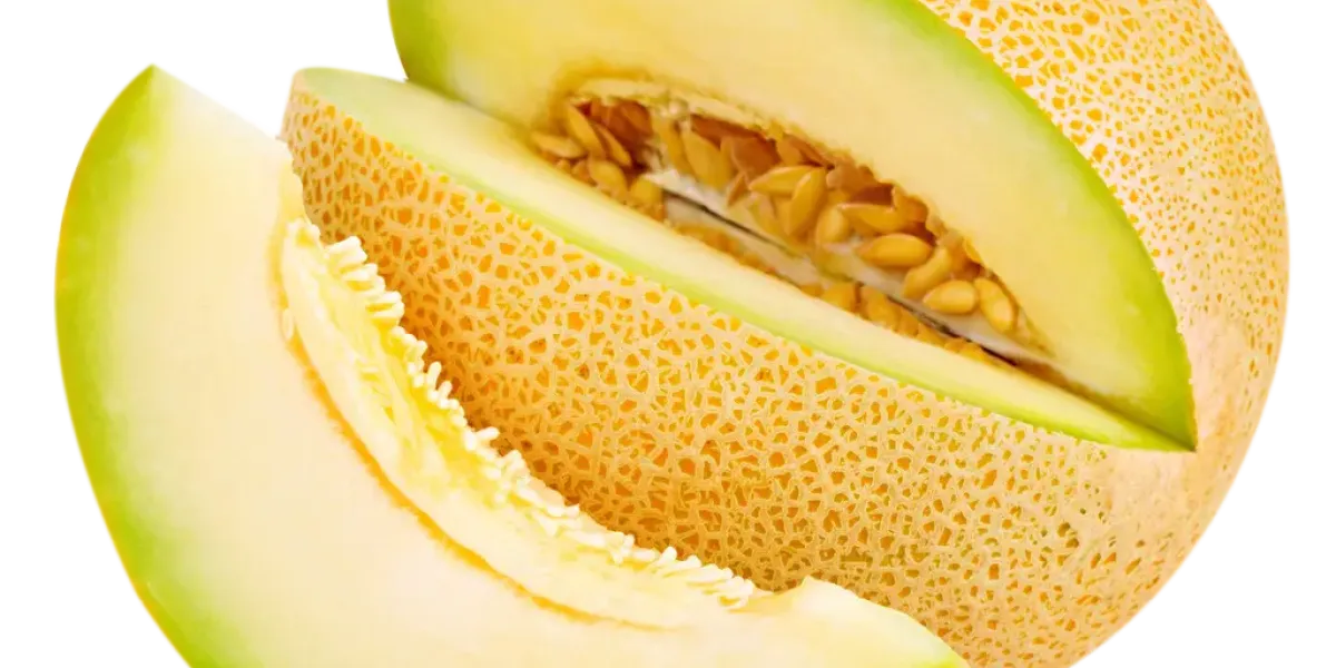 Melón :: Propiedades