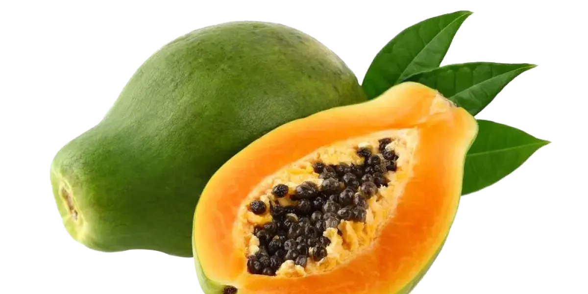 Papaya :: Propietateak