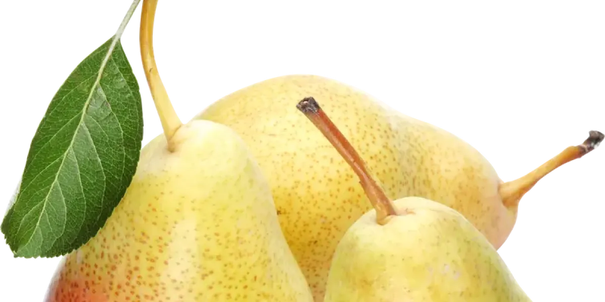 Pera :: Propietateak