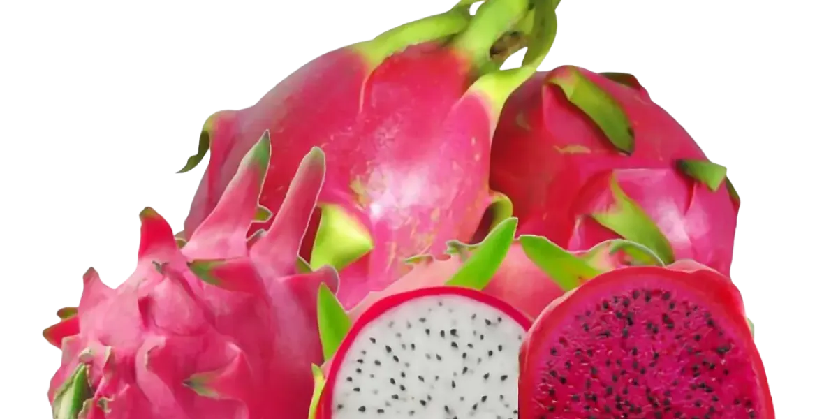 Pitahaya :: Propietateak