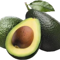 Jatorria eta barietateak