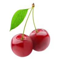 Cómo elegirlos y conservarlos